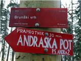 andraz_nad_polzelo - Brunški vrh