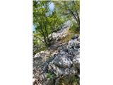 Ruskovići, Orebić - Sveti Ilija (Pelješac)