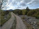 Oklinak