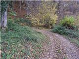 Šober - Planinski dom Kozjak