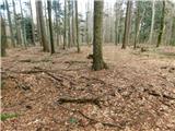 Cerovec pod Bočem - Plešivec (at Boč)