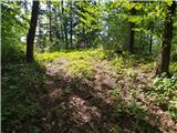 Strmec (above Dragomer)