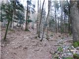 Potoče - Potoška gora