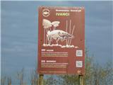 Bogojina - Gravel pit Ivanci