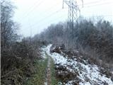Šentilj v Slovenskih goricah - Gradišče Novine