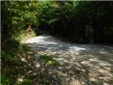 Radegunda (Žekovec) - Mozirska koča na Golteh