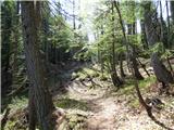 Planina Zajzera - Krniška glavica / Jof di Sompdogna