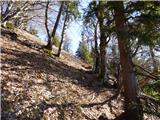 Potoče - Potoška gora