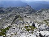 Gozdec - Vrh Laške Planje