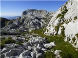 Gozdec - Vrh Laške Planje