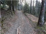 Planina pri Sevnici - Koča na Bohorju