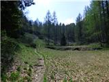 Planina Zajzera - Krniška glavica / Jof di Sompdogna