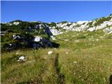 Gozdec - Vrh Laške Planje