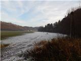 Kozjak nad Pesnico - Tojzlov vrh