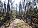 Planina Zajzera - Krniška glavica / Jof di Sompdogna