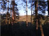 Podgrad - Murjevka