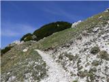 Planina Zajzera - Krniška glavica / Jof di Sompdogna