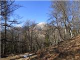 Potoče - Potoška gora