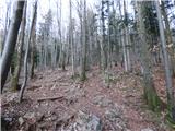 Potoče - Potoška gora