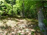 Planina Zajzera - Krniška glavica / Jof di Sompdogna
