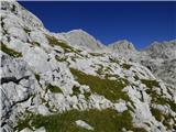 Gozdec - Vrh Laške Planje