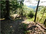 Svečina - Plački vrh