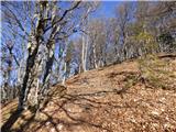 Potoče - Potoška gora