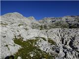 Gozdec - Vrh Laške Planje
