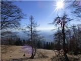 Potoče - Potoška gora