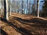 Frankolovo - Stolpnik
