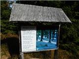 Ribniška koča - The lake Ribniško jezero