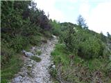 Bagni di Lusnizza - Cima Alta (Due Pizzi)