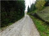 Moravci v Slovenskih goricah (Bioterme) - Zeleno okno