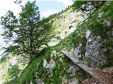 Tolminske Ravne - Gomiščkovo zavetišče na Krnu