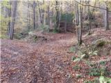 Šober - Planinski dom Kozjak
