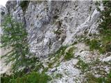 Bagni di Lusnizza - Cima Alta (Due Pizzi)