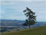 Sveta Katarina (Zgornja Kapla) - Sveti Pankracij (Radelca)