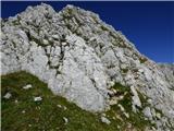 Gozdec - Vrh Laške Planje