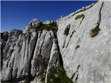 Gozdec - Vrh Laške Planje