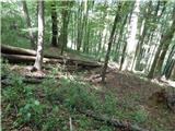 Gornja Radgona (OŠ Gornja Radgona) - Viewpoint Kapela