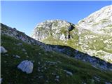 Gozdec - Vrh Laške Planje
