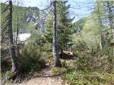 Planina Zajzera - Krniška glavica / Jof di Sompdogna
