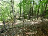 Planina Zajzera - Krniška glavica / Jof di Sompdogna