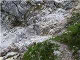 Bagni di Lusnizza - Cima Alta (Due Pizzi)