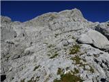 Gozdec - Vrh Laške Planje
