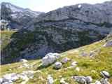 Gozdec - Vrh Laške Planje