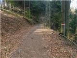 Sveta Katarina (Zgornja Kapla) - Sveti Pankracij (Radelca)