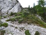 Bagni di Lusnizza - Cima Alta (Due Pizzi)