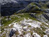 Gozdec - Vrh Laške Planje