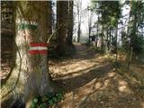 Sveta Katarina (Zgornja Kapla) - Sveti Pankracij (Radelca)